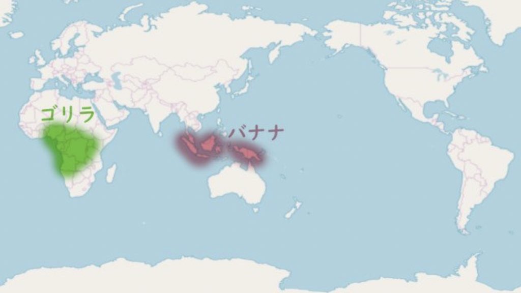 טוויטר 釜神の化身 オダズナー בטוויטר ゴリラの好物と言えば バナナだよな でもな 野生のゴリラな バナナ食わねぇんだわ ゴリラの生息地バナナがねぇわ タケノコとか野生のセロリとか食っててよ 思ったよりモデルみてぇな食生活してんだわ