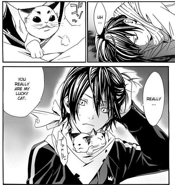 Ok but hear me out. What if he wasn't talking to/about Majesty there but Hiyori instead?