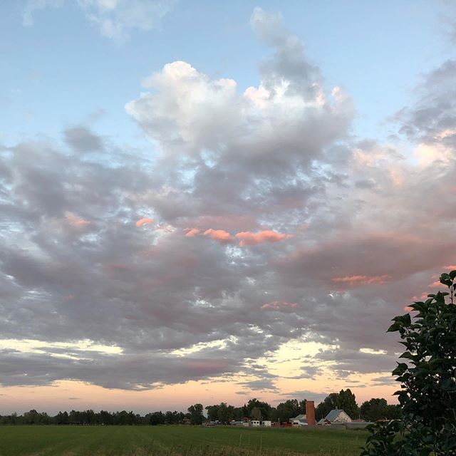 annafrye77's tweet photo. A beautiful Colorado evening. https://t.co/Lc7amEmPWR https://t.co/kdIy7UveWO