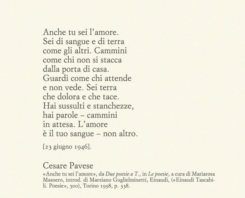 Alice Scolamacchia Anche Tu Sei L Amore Sei Di Sangue E Di Terra Come Gli Altri Cammini Come Chi Non Si Stacca Dalla Porta Di Casa Guardi Come Chi Attende E