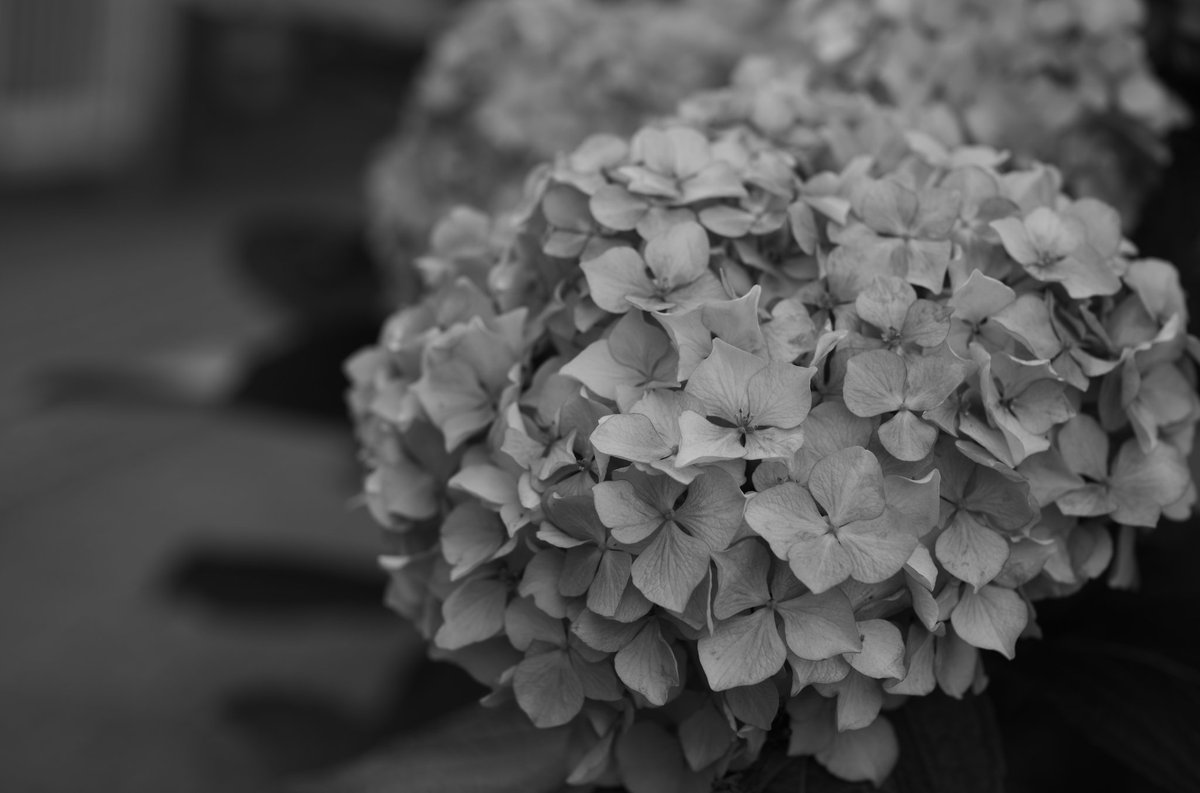 Coitz501 tweet picture