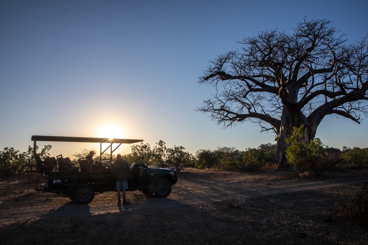 RETURNAfrica's tweet photo. Nothing beats a winter morning game drive. The fresh air, the sunrise and who could forget the coffee?
.
.
.
📸: Michael Laubscher
#RETURNAfrica #PurePafuri #Sunrise #SouthAfrica #RETURNToYourRoots #NorthernKruger #Makuleke #IntoTheWild #Africa #Explore #WeAreAfrica https://t.co/NJucQFvVoe