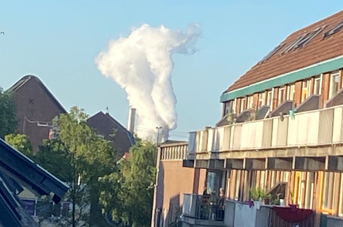 Er ging iets niet helemaal goed 'aan de overkant'. #Vlaardingen.