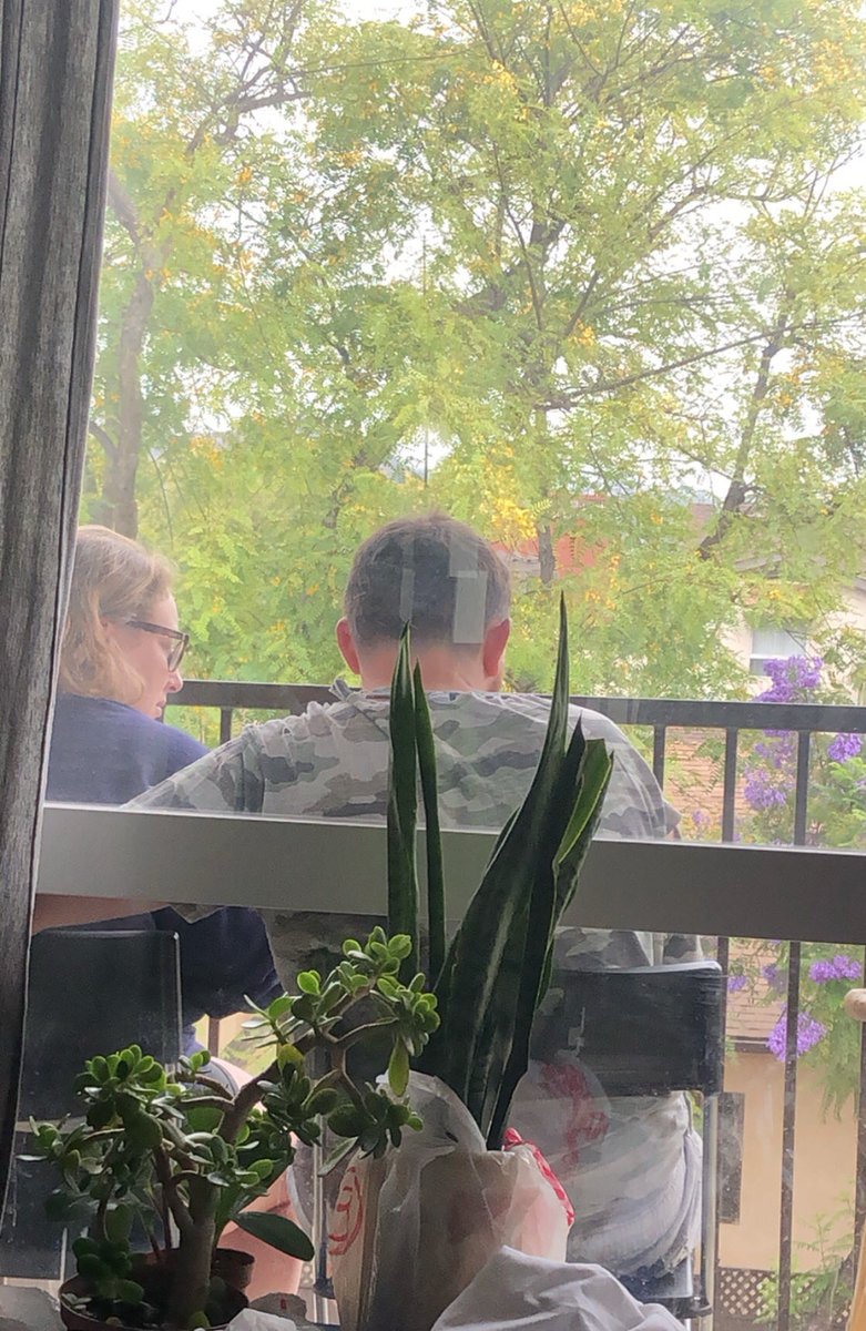 Alli Moe tweet media