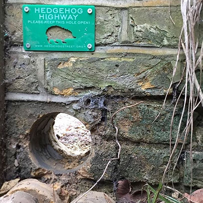 seed_ball's tweet image. Random Act Of Wildness #23
Make a hedgehog highway. Allow 🦔 to roam freely through your garden - a hole about the size of a CD is large enough for a 🦔 but not most other mammals. Signs from hedgehogstreet.org
#30DaysWild #HedgehogHelp #Hedgehogs #Highway