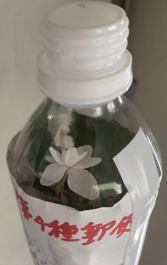 第4種郵便 第4種郵便