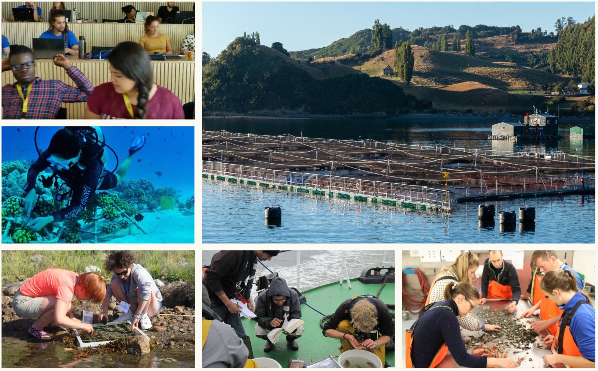 IMBRSea (@imbrsea) on Twitter photo The new Marine Training has been launched yesterday!
The Marine Training platform is an EMBRC-ERIC service platform dedicated to Marine education and training.
Link: marinetraining.embrc.org @MarBiol2019 <a href="/MarTrain_eu/">MarineTraining.eu</a> <a href="/EMBRC_EU/">EMBRC (European Marine Biological Resource Centre)</a> The new Marine Training has been launched yesterday!
The Marine Training platform is an EMBRC-ERIC service platform dedicated to Marine education and training.
Link: marinetraining.embrc.org @MarBiol2019 <a href="/MarTrain_eu/">MarineTraining.eu</a> <a href="/EMBRC_EU/">EMBRC (European Marine Biological Resource Centre)</a>