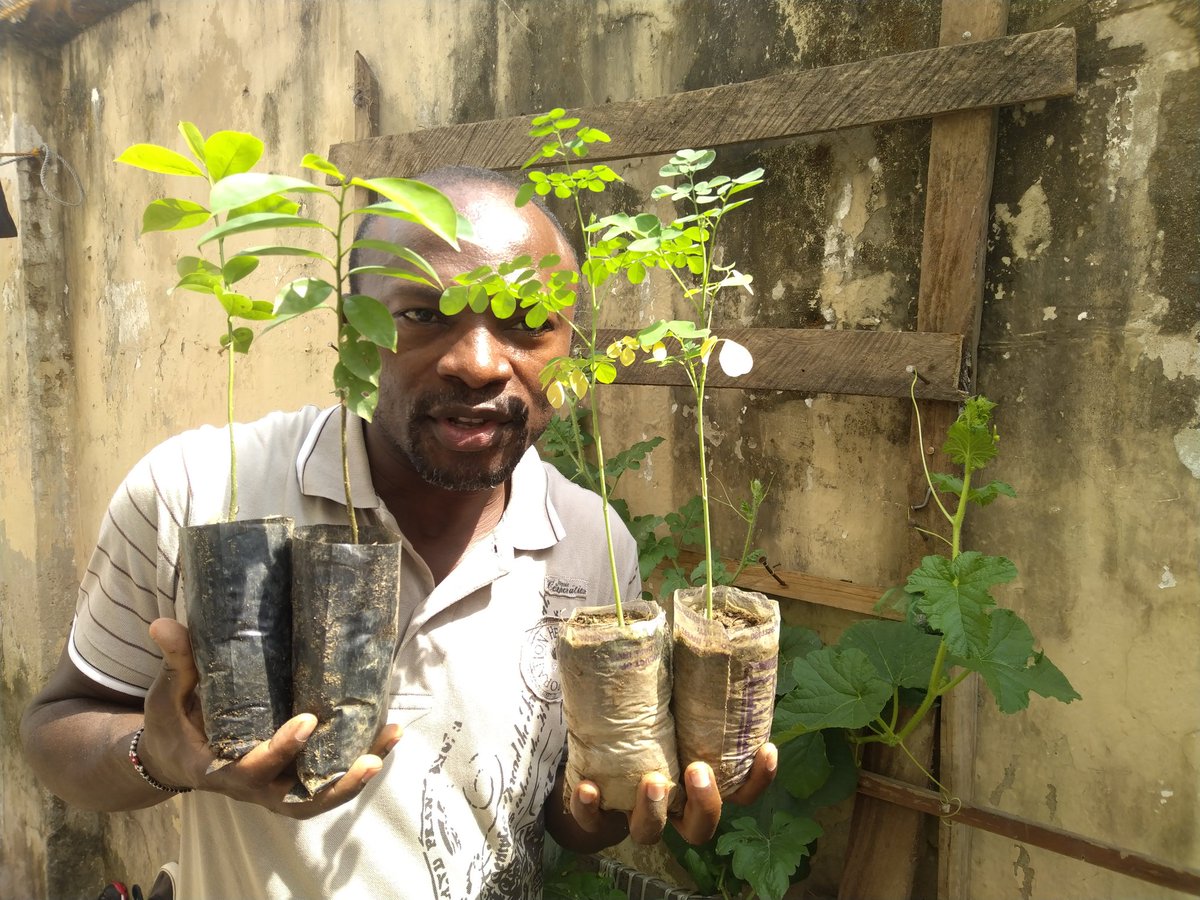 TabiJoda1's tweet image. The best way to saving #rainforests is

plant more trees

Regenerate trees

Reduce illegal logging

Stop fragmentation of forest

Reduce wildfires

#SaveCongoForest_Flora_Fauna
#SaveAmazonForest 

@JosefaSacko @CIFOR @sharon_ikeazor @FAOForestry @giz_gmbh @UNCCD @Afr100_Official