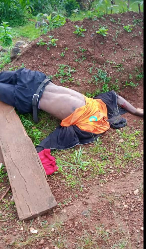 EstoppelP's tweet photo. @AmbazoniaM @realBrotherJero @fomslyw @NzajeP @AustinTapm @UN @MsLaToshaBrown @AC360 @CohenOnAfrica @hrw @amnesty @PastorDawkins @USUN @SecPompeo @Refugees @PressSec @antonioguterres @AsstSecStateAF @StateDept @GOVUK @EUatUN @NRC_Egeland @USAmbUN @mbachelet @BelgiumUN @UKParliament @RepKarenBass @GermanyUN @realDonaldTrump @amnestyusa @SCRtweets @USIP @SenateForeign @DicarloRosemary La Rep. du cameroUn is taking advantage of the feet dragging by the int'l community to bring her to book for the massacres in Ambazonia to commit more crimes. In a typical #French #colonial style on the bamileke in cameroUn, they slaughter & #behead #Ambazonians. #EVIL, #demonism https://t.co/svlZH7hidO
