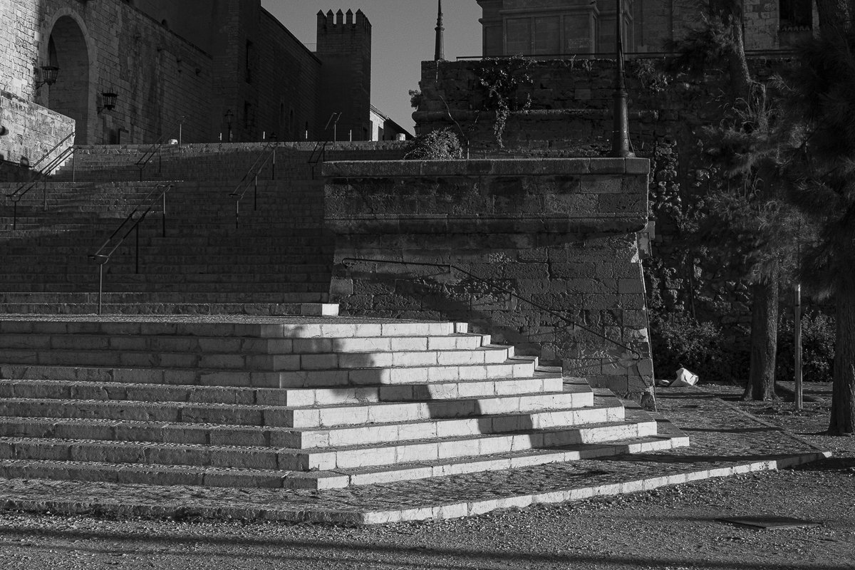 CiutatIntima's tweet photo. Escalinata desde Dalt Murada hacia la Seu y la Almudaina. #CiutatIntima #Ciutat #PalmaIntima #Palma #Mallorca #fotografía #blackandwhite #blackandwhitephotography #streetphotography #bw #Art #monochrome #monochromephotography #bnwphotography #arquitecture #ThePhotoHour https://t.co/Uzuq8tiI3w