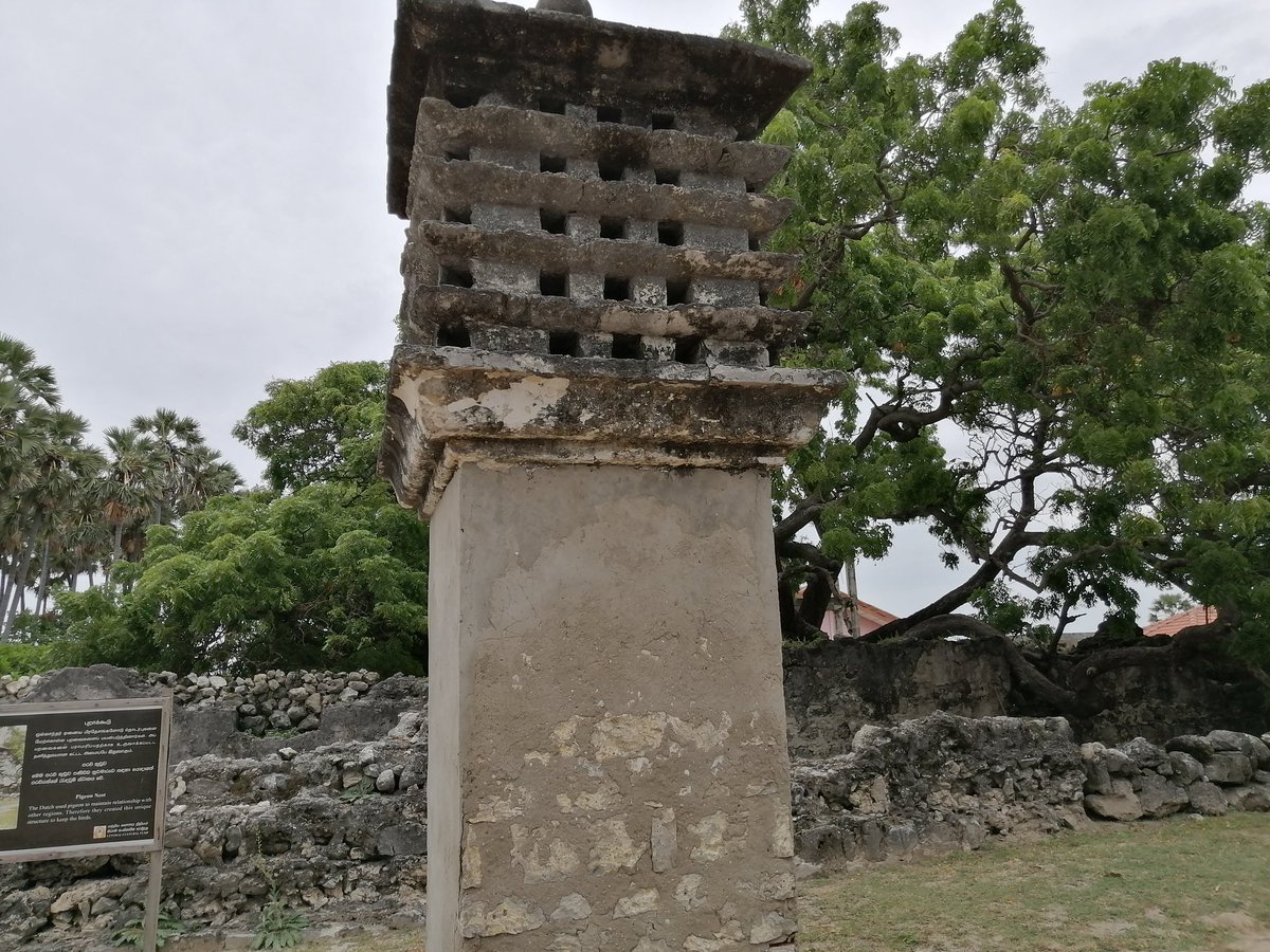 Jaffna MOJO Diaries Day 03 - Neduntheevu / Delft  #SriLanka  #beauty  #jaffna  #MOJO  #socialworklife  #socailwork  #mediacorps  #journalism #Court