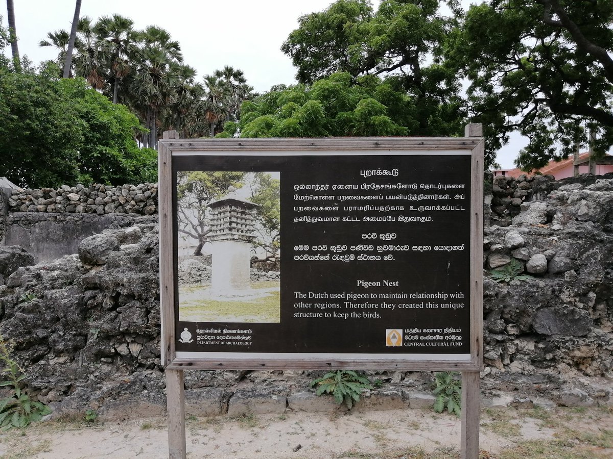 Jaffna MOJO Diaries Day 03 - Neduntheevu / Delft  #SriLanka  #beauty  #jaffna  #MOJO  #socialworklife  #socailwork  #mediacorps  #journalism #Court