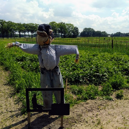 Bietjes, sla, andijvie, eieren: de eerste oogst van eigen boerderij. We zijn sinds kort mede-eigenaar van herenboerderij De Groote Heide. Direct gevolg van een online AG-lezing Duurzaamheid over een initiatief dat burgers betrekt bij duurzame landbouw. ag-eindhoven.blogspot.com