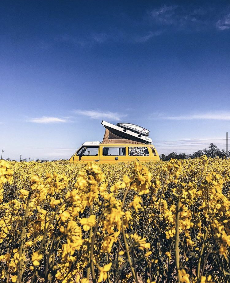 russiabeyond's tweet photo. Good morning from #Kaliningrad! On #TravelTuesday get a glimpse of what your next summer road trip can look like 🚙 Though a small region by #Russian standards, it’s got it all: a stunning coastline, tranquil forests, flowery fields and enormous amounts of history and culture 😍 https://t.co/75eCBH5xIV