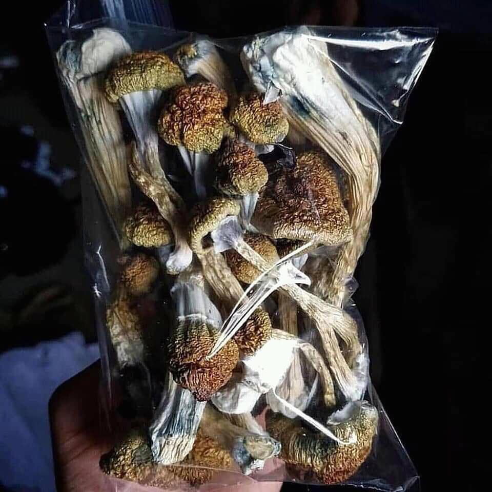mo41484230's tweet image. Who wanna  trip