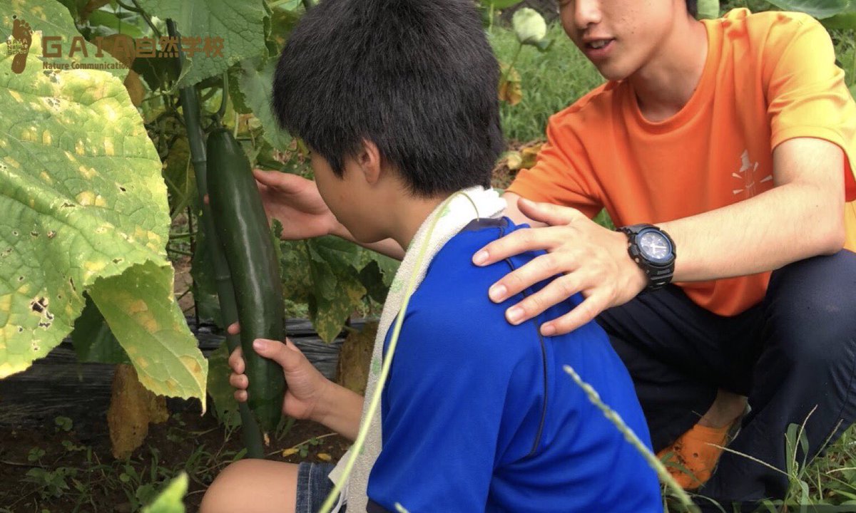 2020Gaia's tweet photo. まだまだオンライン新歓の参加お待ちしてます！！！
#春から金大
#ガイア自然学校 https://t.co/aHkDVr100i