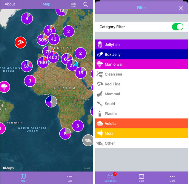 beroe's tweet photo. It feels tone-deaf to tweet about anything but racial justice, covid-19, or political malfeasance now, but... we are really proud of the new https://t.co/LzWfEUu87O app that lets you browse records in iOS #CitizenScience https://t.co/uCX7u0IQKN
Now, back to fixing the world. https://t.co/tE9fkVqTGu