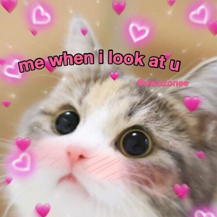 NCTJENF's tweet photo. ♥️____♥️ https://t.co/ULymfuHL62