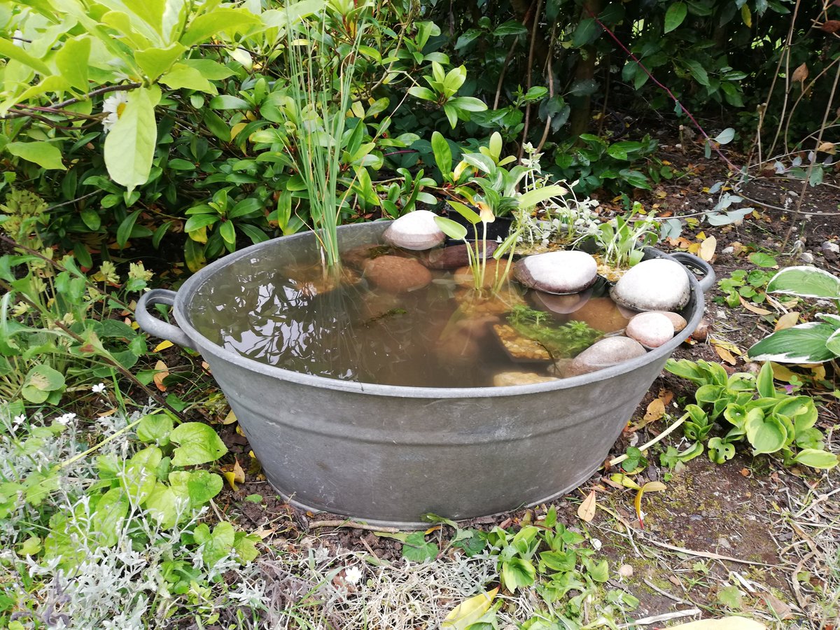 BelsomRobin's tweet photo. @BBCSpringwatch @HStitfall Thanks for the inspiration, here is the pond I have just completed based on your ideas. https://t.co/haJPZa0cwn