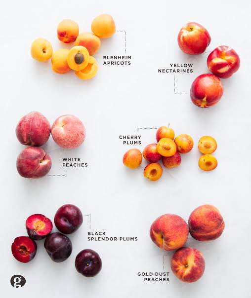 This is a thread about all sorts of  #Peaches and  #Plums found locally in  #Assam #Peach  #Nectarine  #Plum  #Apricot  #Cherry are all closely related members of the Prunus genus. They are commonly referred to as  #StoneFruits because their seeds are very large and hard. We don’t get