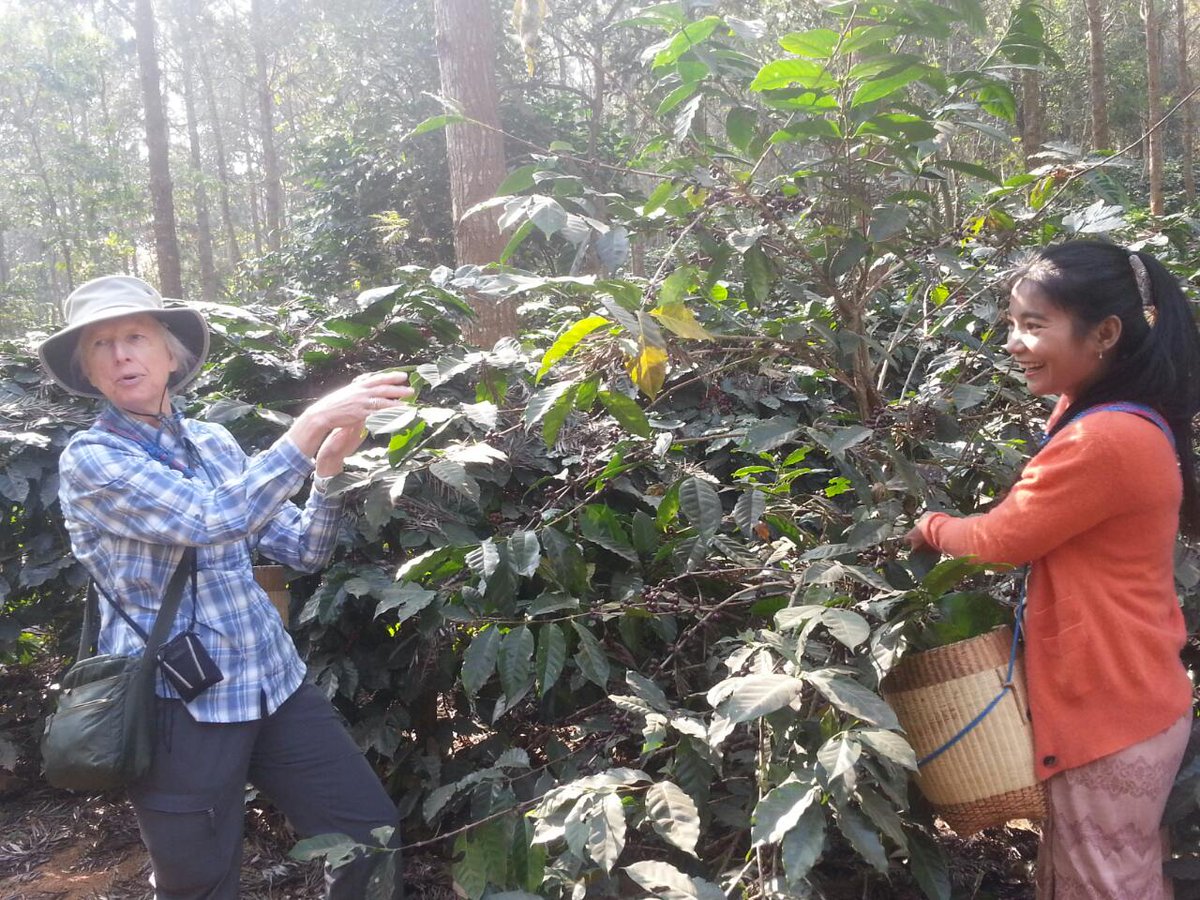 JunctionAsia's tweet photo. Reopen for Coffee Plantation Tour 
https://t.co/HHufzc2UEC https://t.co/V8tcyJnqU6