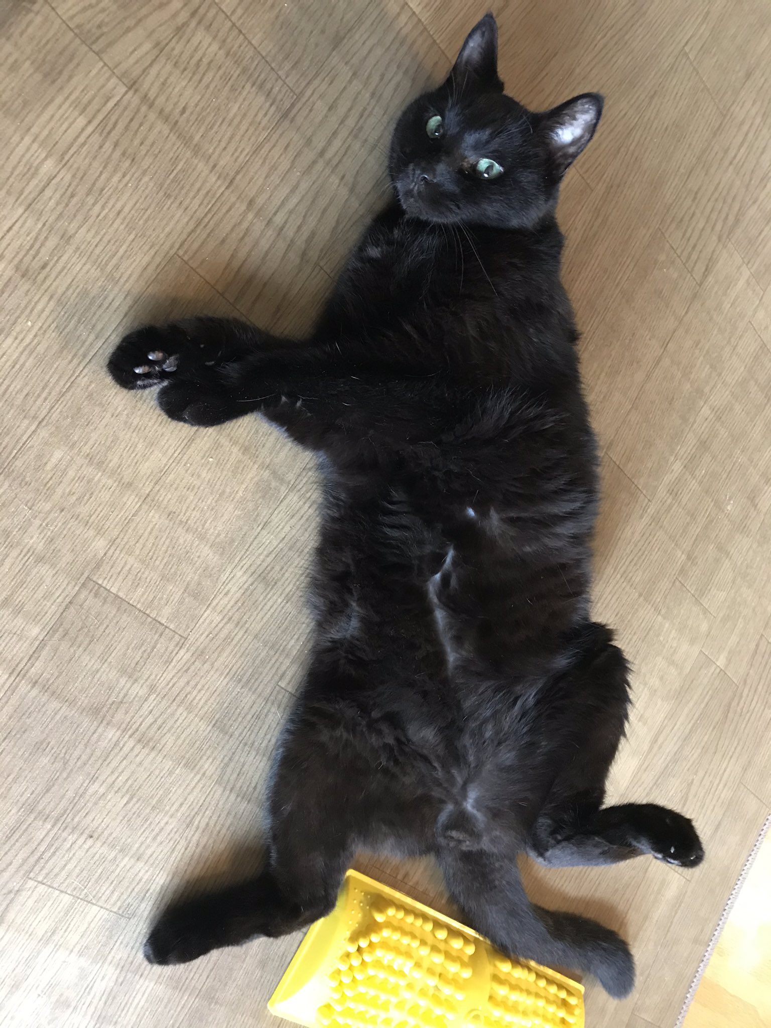 肛門念力パワー お腹 見る