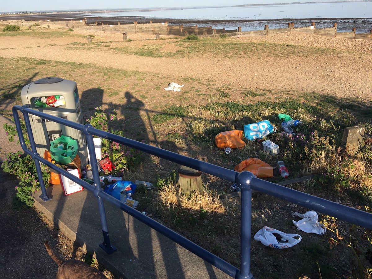 Not all bins are full (I checked from the harbour to W Beach caravan park) but the gulls & foxes are spreading the litter too.  @canterburycc  @Kent_cc  @Labour4C  @kentpolicecbury  @VisitKent  @ExploreKent  @kentlivenews  @NeilWhitstable  @RosieDuffield1