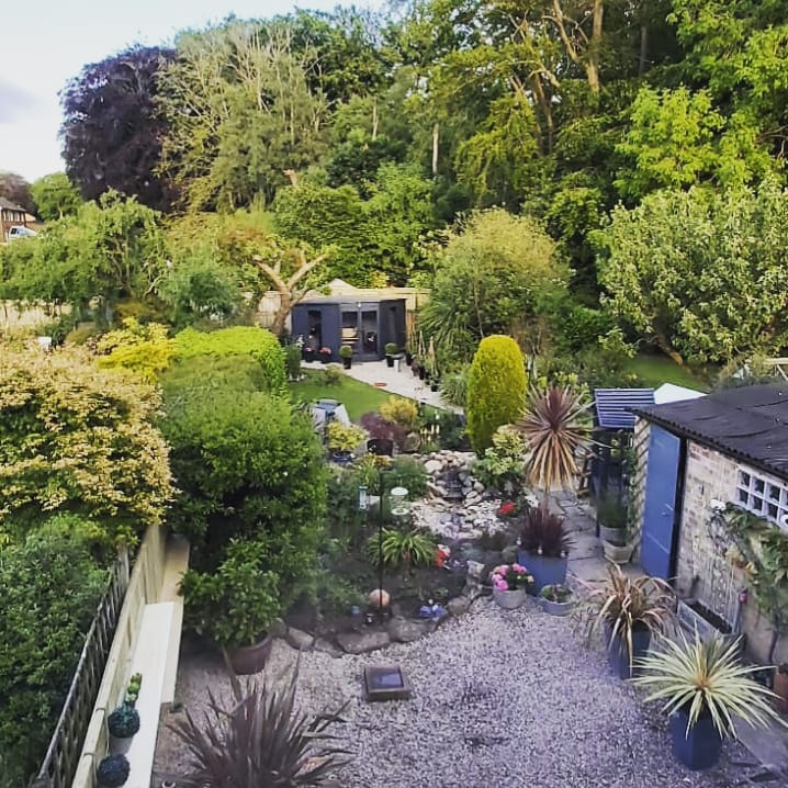 I think I would have been lost without my garden space over the last few months. #Home #Garden #Haven #vegetables #flowerstagram #GardensHour #gardenchat