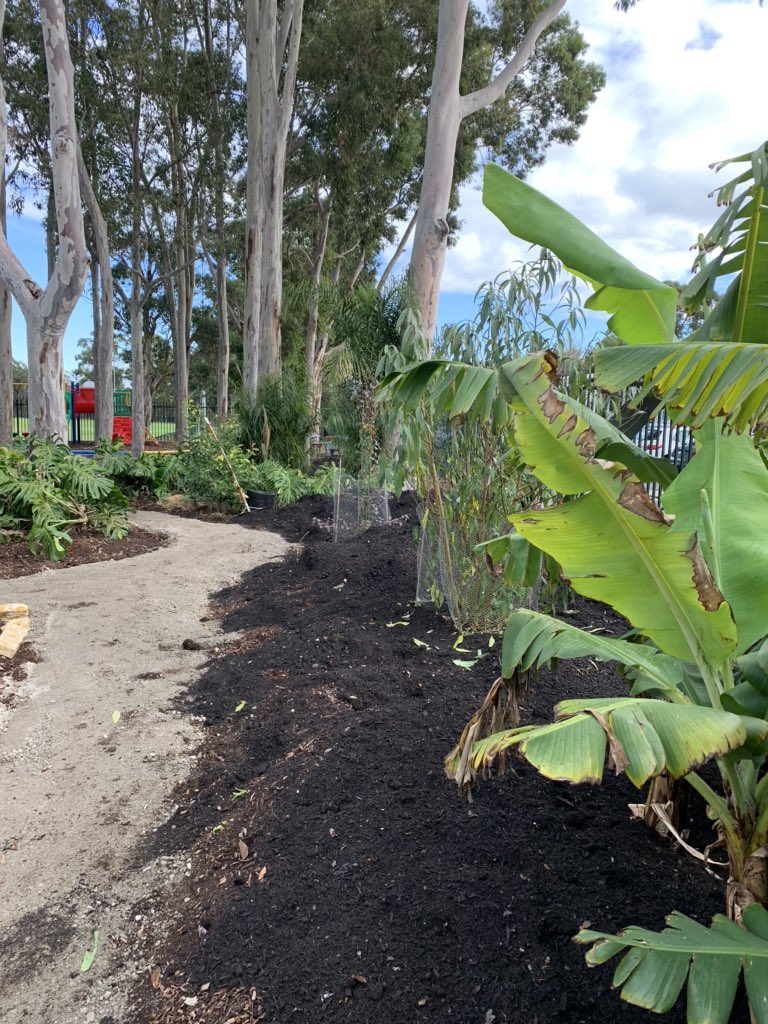 Peter Dawe (@dawe4peter) on Twitter photo Looking forward to working with #AuntyCarol again #DoE <a href="/JoinOurMobDoE/">Join Our Mob @ the NSW Department of Education</a> creating an #Indigenous trail through 3 adjacent schools #EastHills BHS GHS PS - Boys HS already shown what can be done with trees that need to be removed - totems of existing Indigenous Ss #Connectivity Looking forward to working with #AuntyCarol again #DoE <a href="/JoinOurMobDoE/">Join Our Mob @ the NSW Department of Education</a> creating an #Indigenous trail through 3 adjacent schools #EastHills BHS GHS PS - Boys HS already shown what can be done with trees that need to be removed - totems of existing Indigenous Ss #Connectivity