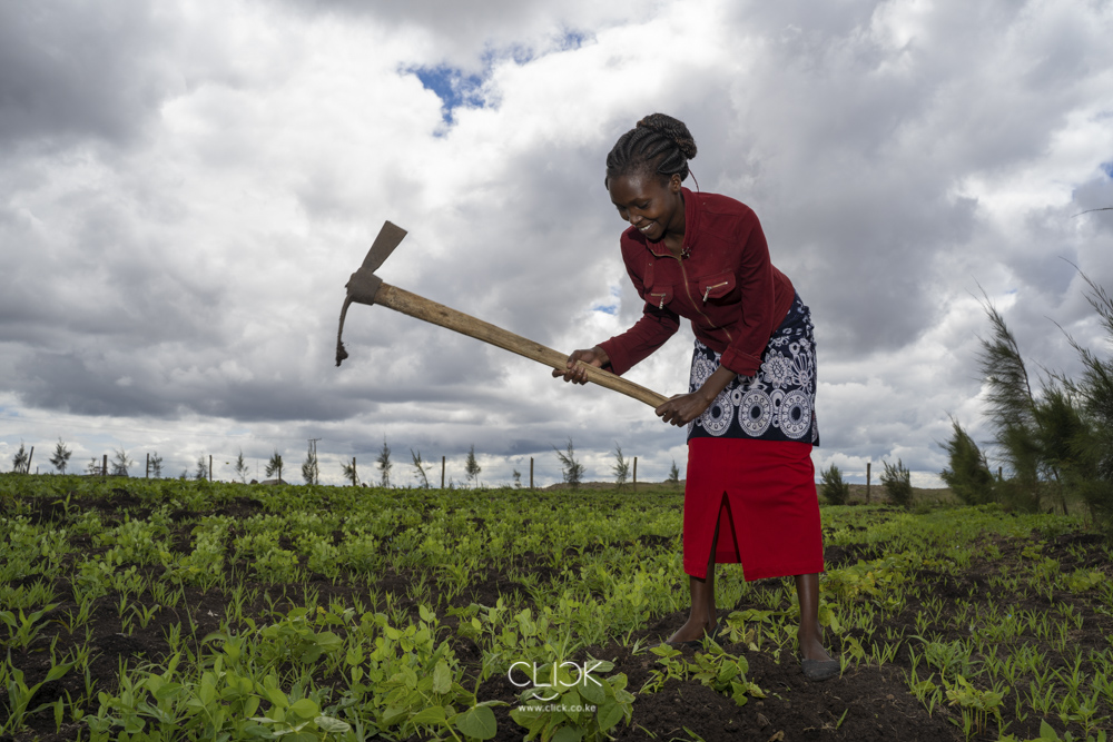 A couple of months after ground breaking, I returned to see how the new home beneficiary families were doing and found one of them had ventured into farming!