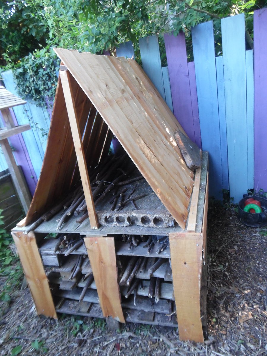 Brundall Primary tweet media