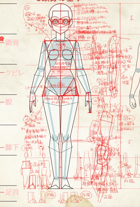 現在マイナビ出版の動画講座と次の技法書の作業をしています。
解説のレイヤーを全て表示しているので何を描いているのかわからないかもしれませんが^^;

近く動画が上がると思いますのでご興味のある方は是非。

【動画ですいすい学べる】
https://t.co/t5Q48t297L 