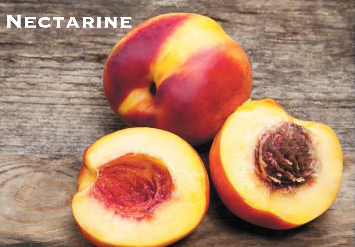 3. Nectarine (शफतालू ) Apricot (खुबानी)are not found in Assam. Maybe as jams or dried apricots.Nectarines and Apricots are different from Peaches mainly because of skin. Peaches have fuzzy skin ( চালত শুঙ আছে) Nectarines n Apricots have smooth skin but looks like peaches.