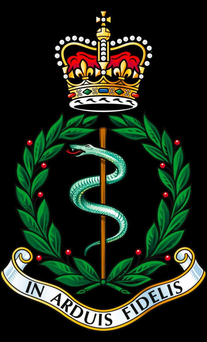 3MedicalRegiment tweet media