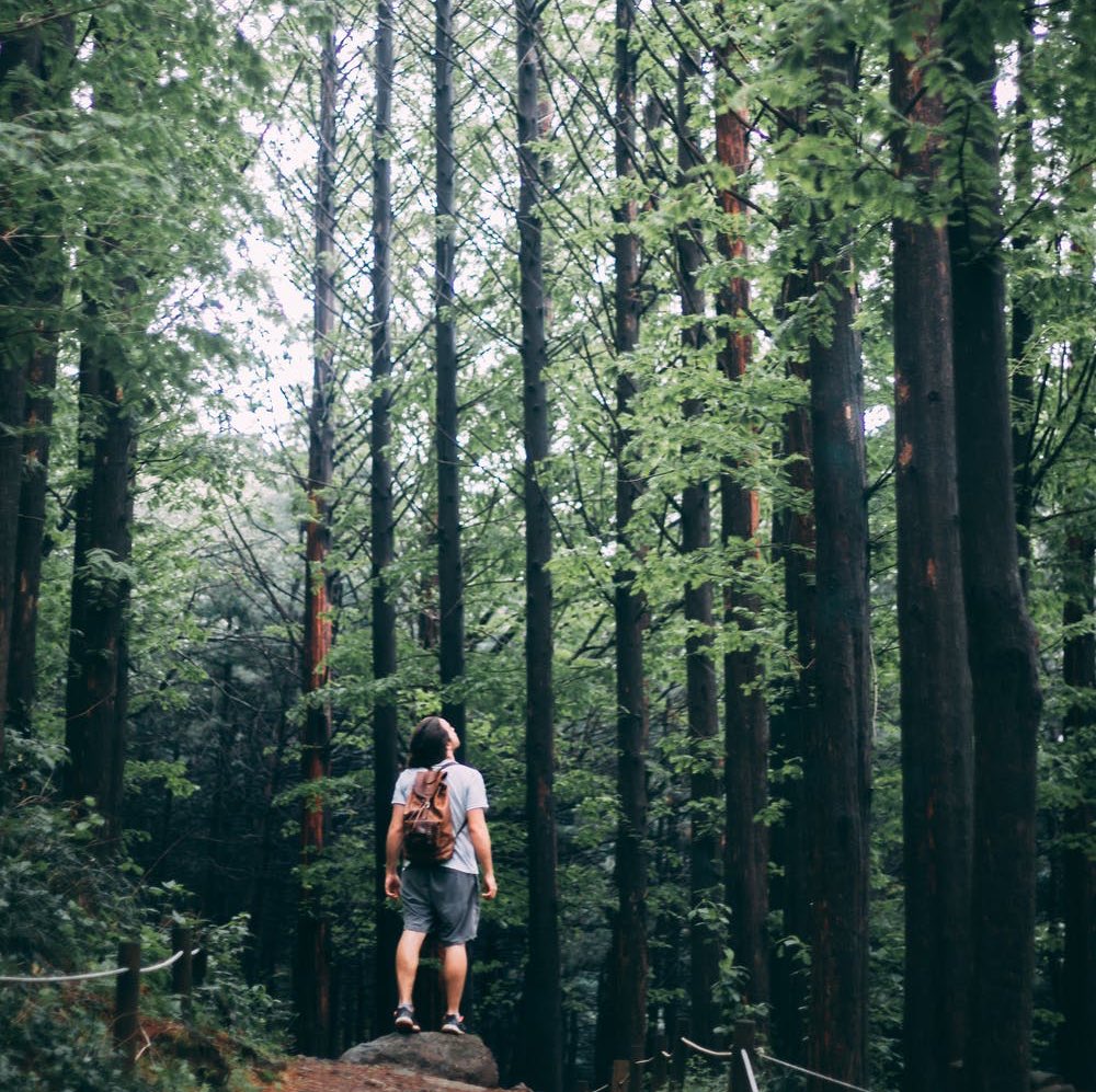 ETSIAMCordoba's tweet photo. 🗣V Edición del Máster oficial Universitario en Geomática, Teledetección y Modelos espaciales aplicados a la Gestión Forestal de la  @Univcordoba 👉🏻 @MsterGEOFOREST 
¡Abierto plazo de inscripción!
#cambioclimático  
#forestry #ingenieriaforestal 
https://t.co/xpXOwBXT5o #ETSIAM https://t.co/WFXfIHGCoq