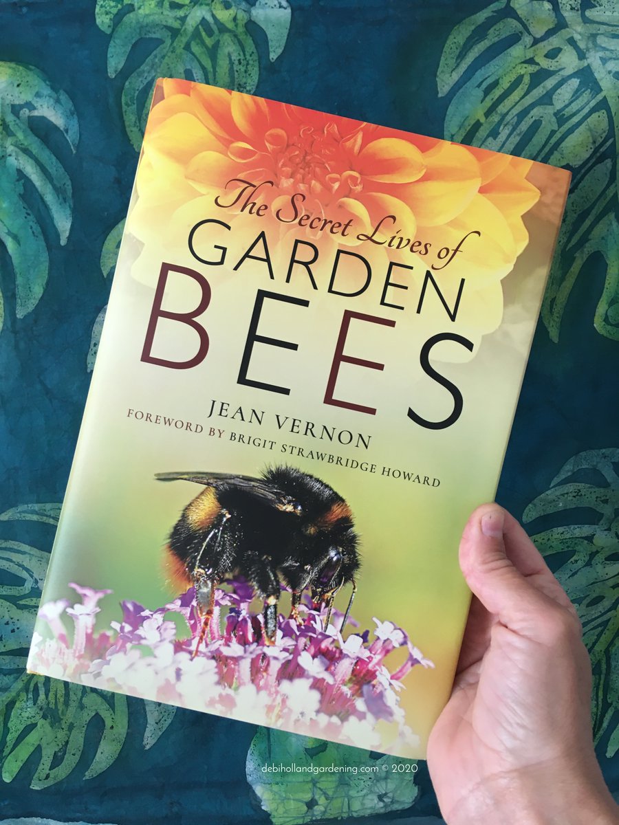 DHgardening's tweet photo. Day 23: #30DaysWild Let #nature in. My #wildread picks: Dancing with #Bees @B_Strawbridge The Secret Lives of #Garden Bees @TheGreenJeanie A Sting in the Tale &amp; A #Buzz in the #Meadow @DaveGoulson 
@WildlifeTrusts #randomactofwildness 
@30DaysWild #naturelovers #niw2020 #insects https://t.co/hzysfm3xjp