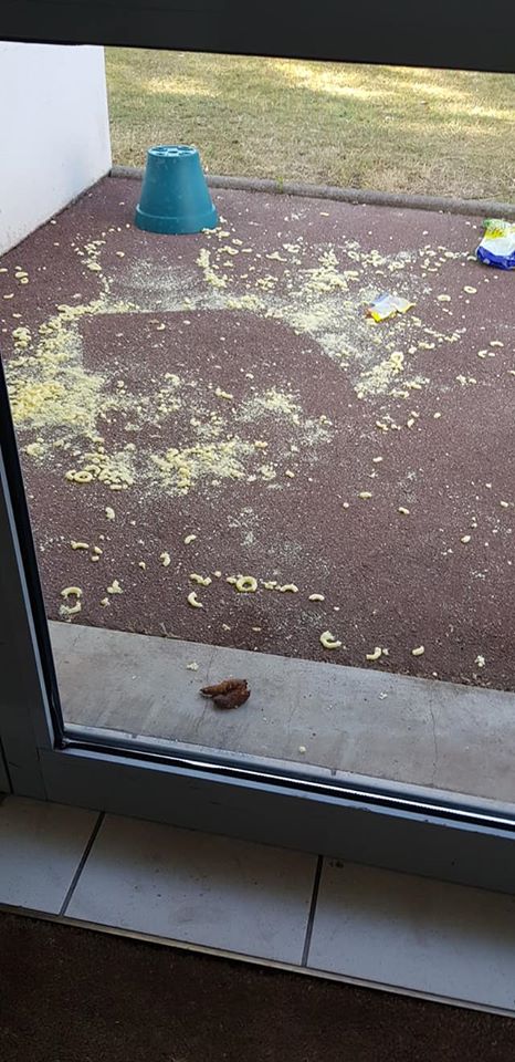 Komeres's tweet photo. En arrivant au bureau nous retrouvons notre entrée saccagée par les gens du voyage qui entourent nos locaux (encore).

Cela fait des semaines qu'ils dégradent notre environnement de travail &amp; nous imposent des conditions d'hygiène &amp; de sécurité discutables.

Qui peut nous aider ? https://t.co/NxOXCDQ6t0