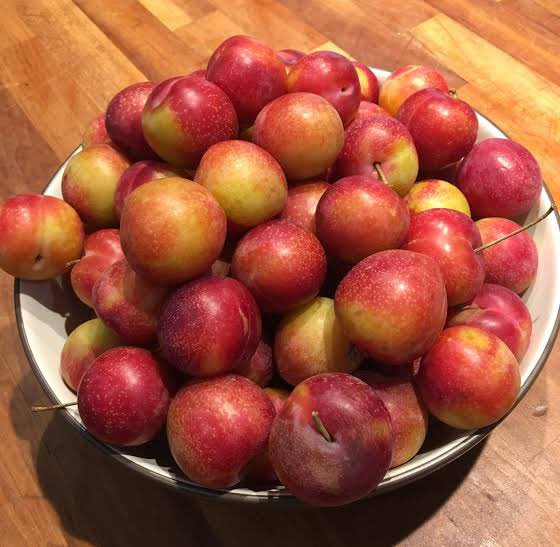 5. Ahom Bogori ( আহোম বগৰী ) Cherry Plum. This plum is smaller than the normal black plum, is more golden and red. It is more sour and has a firm flesh. This is our local Assamese plum.The normal Plum has a very juicy flesh and much sweeter than the Ahom Bogori. Cherry Plum.