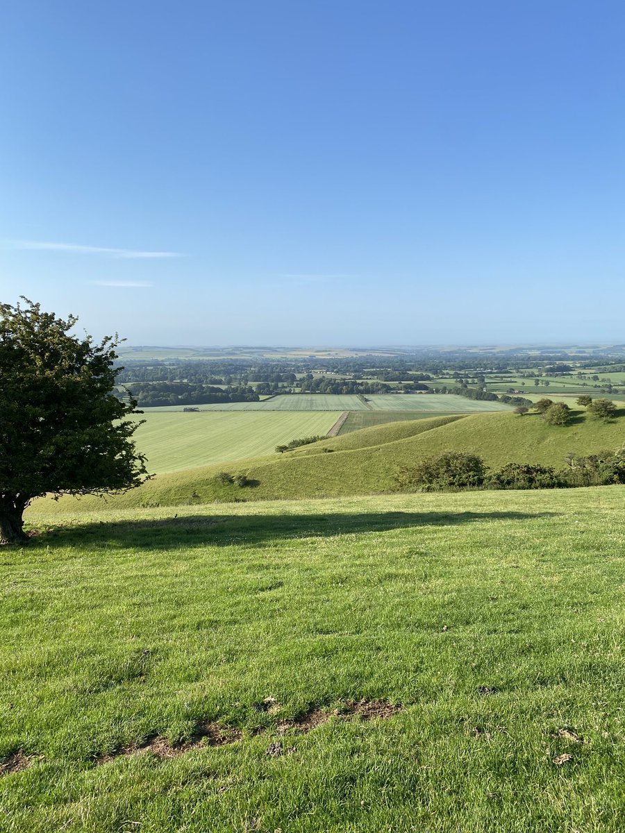 alison8north's tweet photo. Beautiful start to the day near #pewsey sunny six mile run with the dogs 134m climb for this view @VisitWiltshire #silverstrider #ultrarunner #70in2020 #ageisnobarrier https://t.co/8lW3Qy02cO