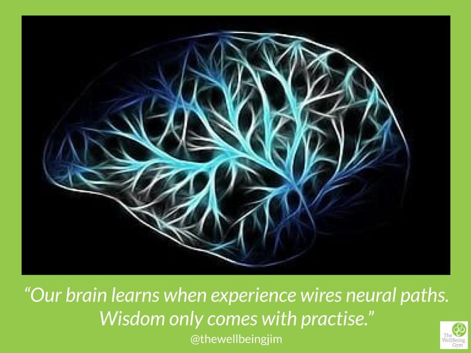 Information needs action to become knowledge.