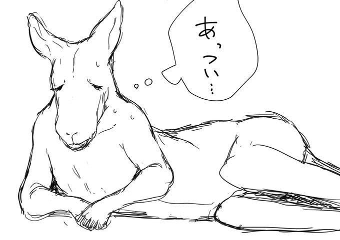 最近休日のおっさんみたいなカンガルーにはまってる 