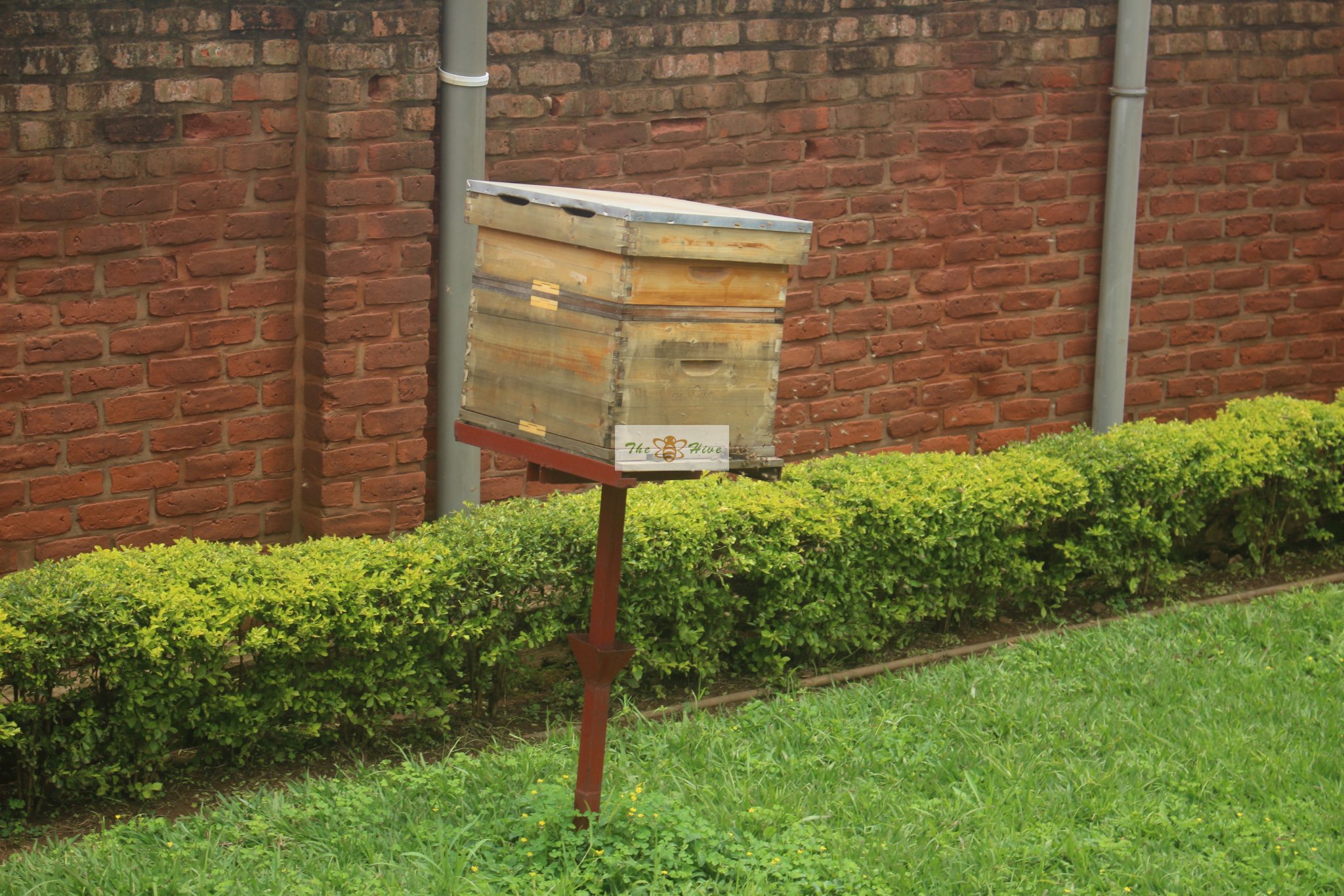 The Hive Rwanda on Twitter "Visit us to learn more about commercial
