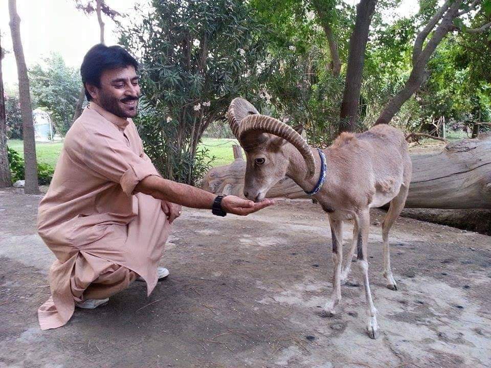 RakWar31's tweet photo. مارخور۔۔۔۔۔۔۔۔۔۔۔۔۔۔۔۔اور۔۔۔۔۔۔۔۔۔۔۔۔۔۔۔۔۔۔۔حرامخور

میں فرق جان کر جیو 👇 https://t.co/5UNGGPc1me