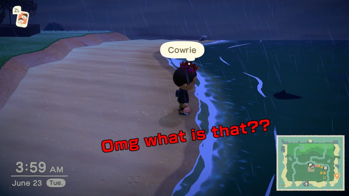 Shinyrob tweet media