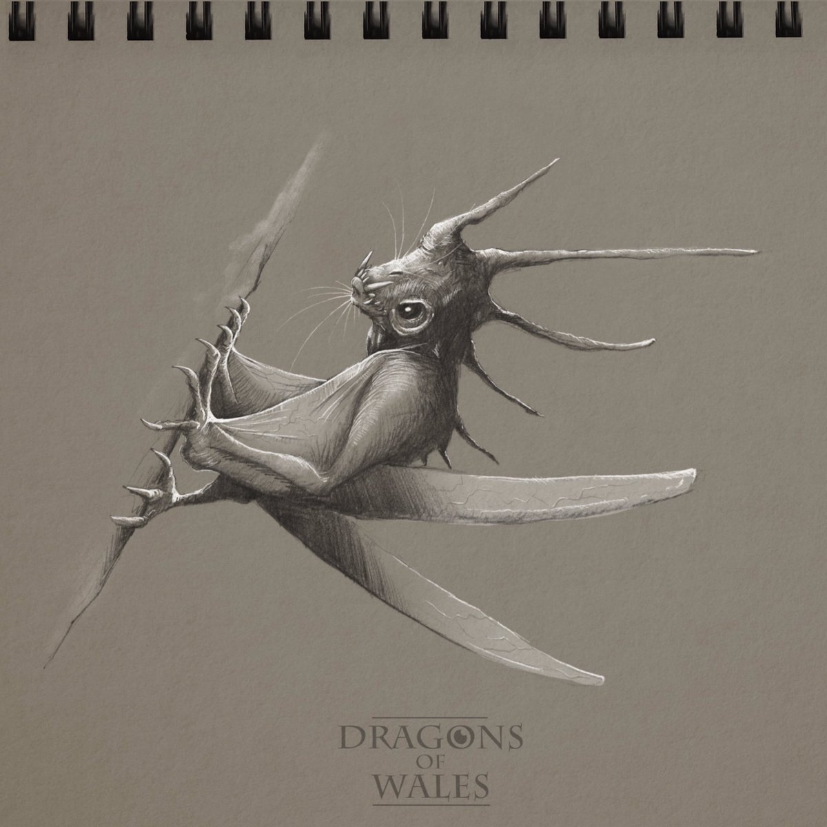 THREAD: 100 Days, 100 Dragons. Well, this it. The 100th and last of my  #DailyDragon sketches, all done during  #lockdown in Wales . This seems like a good time to bring them all together in one (long) thread. So here goes (1/25)