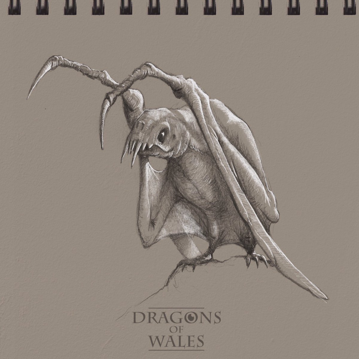 THREAD: 100 Days, 100 Dragons. Well, this it. The 100th and last of my  #DailyDragon sketches, all done during  #lockdown in Wales . This seems like a good time to bring them all together in one (long) thread. So here goes (1/25)