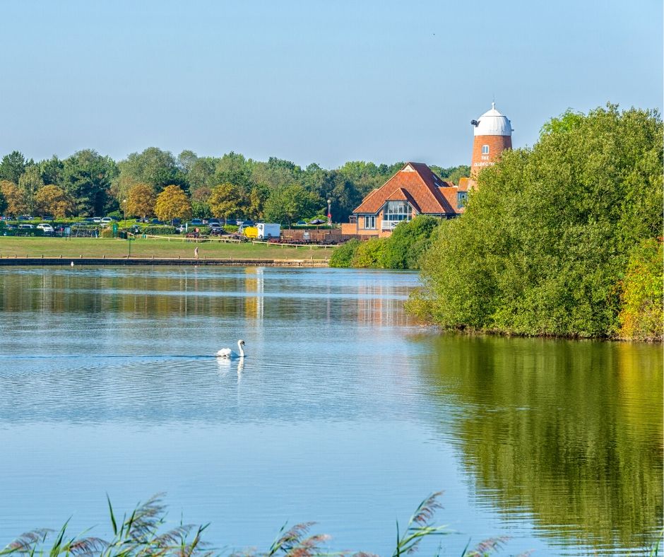 TheParksTrust's tweet photo. If you’re searching for a longer route, check out the 5.3-mile #Caldecotte and #OuzelValley walk in our Virtual Walking Festival! You can spot a huge variety of waterfowl from the lakeside and see our cattle and sheep as you pass through Ouzel Valley https://t.co/iQghOIHxit https://t.co/isBRnClrKT