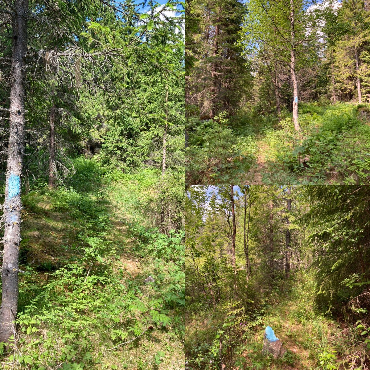 Urban Geology tweet media