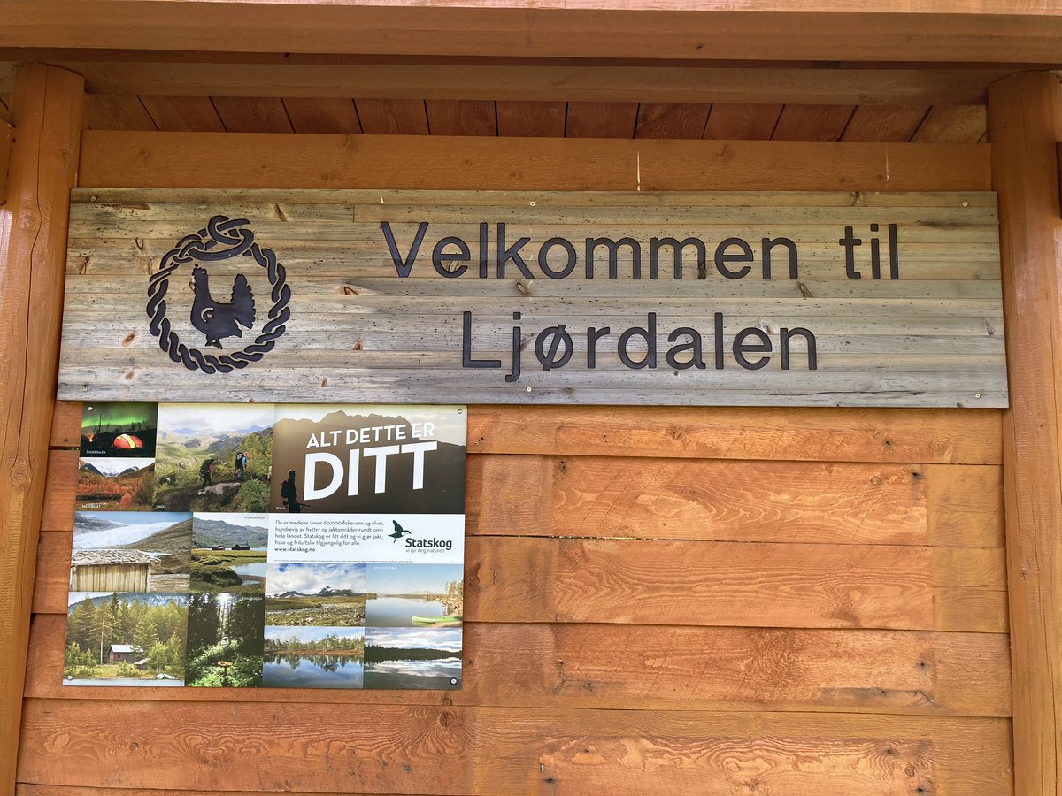 Urban Geology tweet media