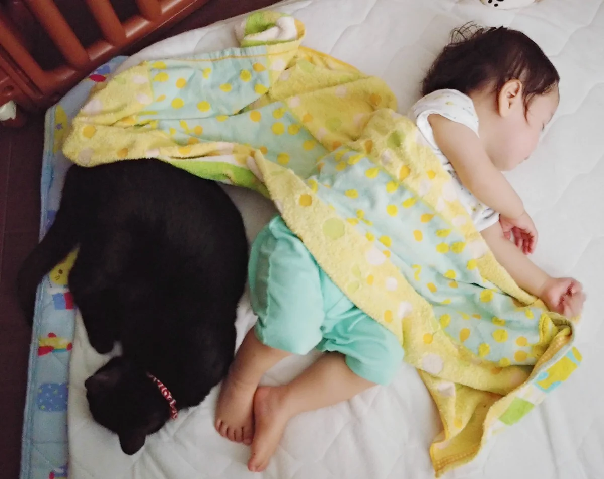 赤ちゃんと黒猫が仲良く寝ている光景！ほのぼの！！